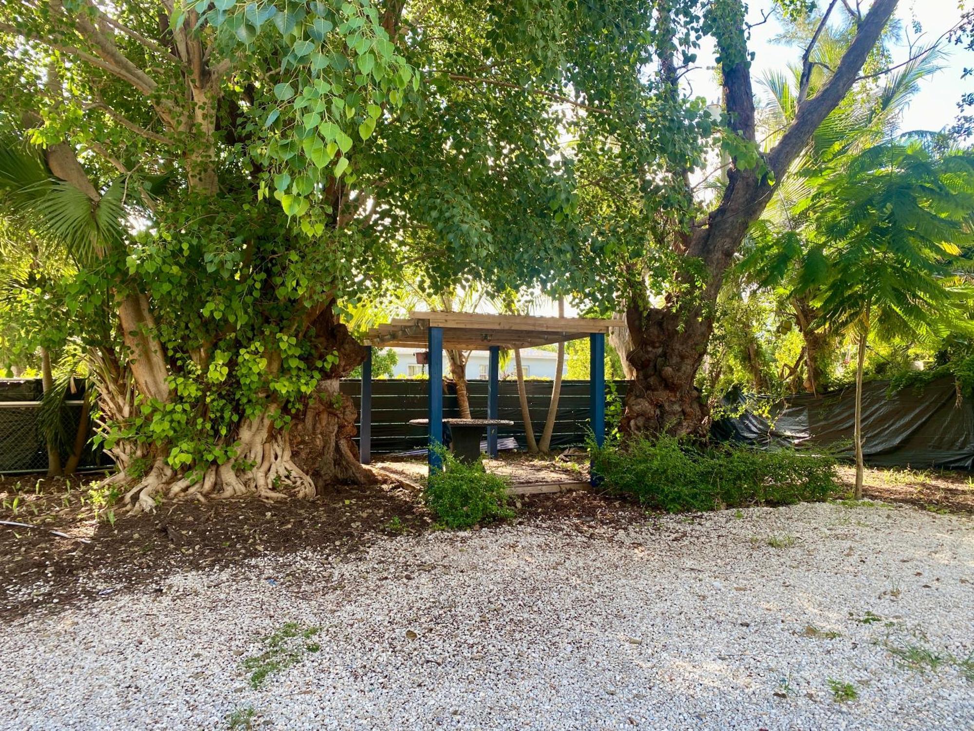 Private Rooms At Miami Centrally Located With Free Parking Екстер'єр фото